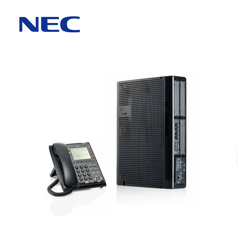 Замена АТС Panasonic на NEC SL2100 в АНО «Реабилитационный центр «Иппотерапия»